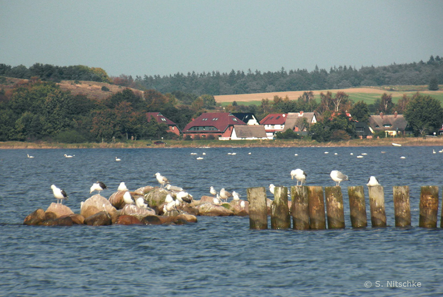 Blick aus dem Hafen Gager rüber zum Deichgraf