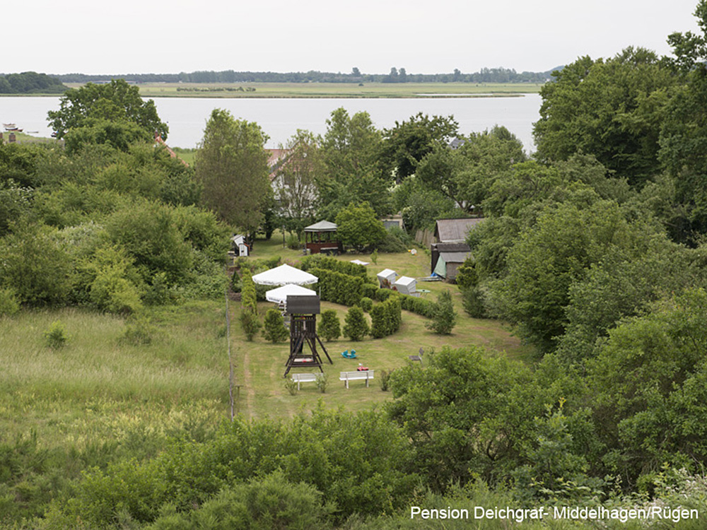 Haus & Garten - Pension Deichgraf