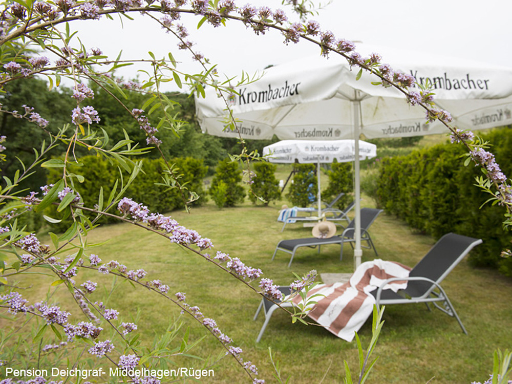 Haus & Garten - Pension Deichgraf