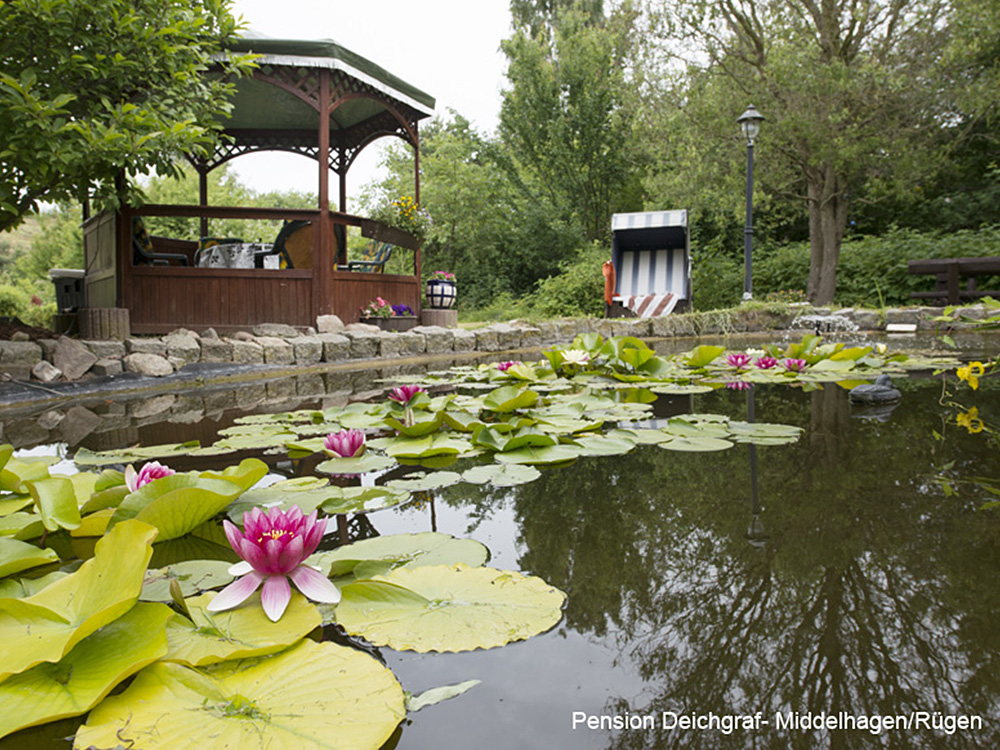 Haus & Garten - Pension Deichgraf