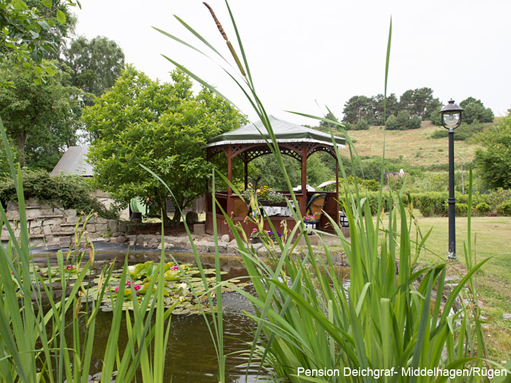 Haus & Garten - Pension Deichgraf