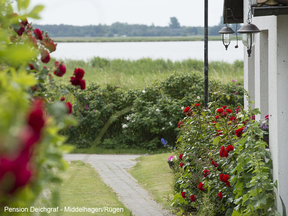 Haus & Garten - Pension Deichgraf