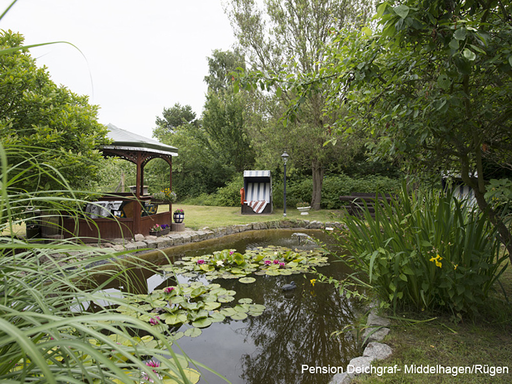 Haus & Garten - Pension Deichgraf